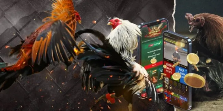 Bí Kíp Cách Chơi Đá Gà GA28 Tại M88Vin Đem Lại Lợi Nhuận Khủng 2 Bí Kíp Cách Chơi Đá Gà GA28 Tại M88Vin Đem Lại Lợi Nhuận Khủng