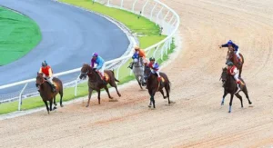 Trải Nghiệm Tìm Hiểu Cá Cược Đua Ngựa M88Vin Siêu Tốc Thắng Lớn